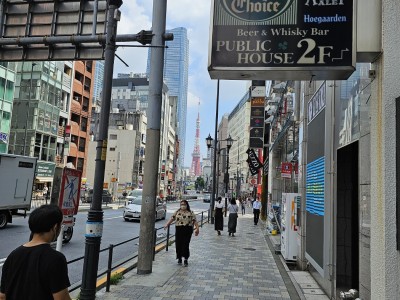 去年の夏、日本の東京に行ってきました