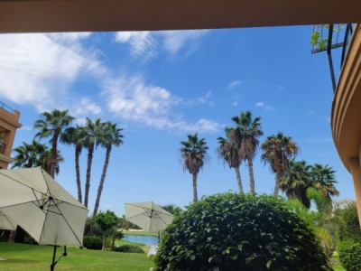 とてもいい天気で平和でした